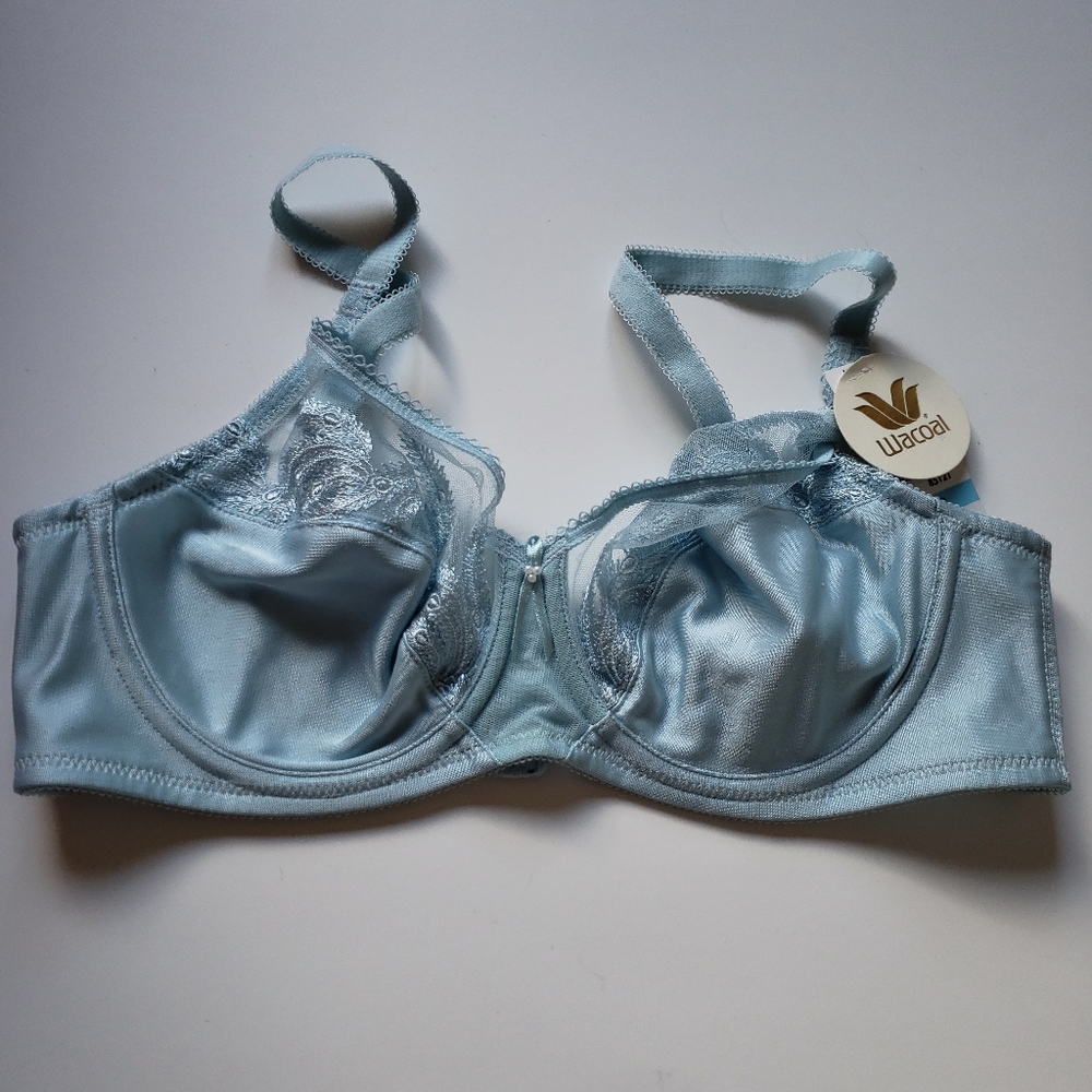 WACOAL Bra Size 34C Baby Blue Lace Fully Adjustable Straps Sexy New With Tags